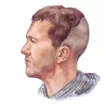 From man buns to undercuts and messy beards, a lot of your preferred styles actually take after cool historic viking haircuts. What Hairstyles Did Vikings Have Quora