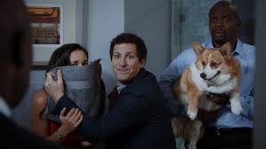 See more ideas about brooklyn nine nine, brooklyn, brooklyn nine nine funny. Hd Wallpaper Brooklyn Nine Nine Wallpaper Flare