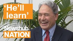 Minor Parties Debate Race, Identity, and Demographic Ministries in NZ