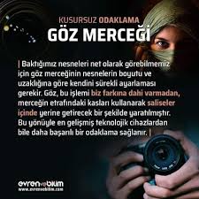Yorum Alanina Arkadaslarinizi Ekleyin Evrenvebilim Hayat Saglik Dunya Evren Bilim Evrenvebilim Yaratilis Incoming Call Screenshot Incoming Call