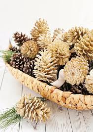 Zapfen Bleichen Fur Die Herbstdeko Weihnachtsdeko Selber Machen Urlaub Handwerk Tannenzapfen