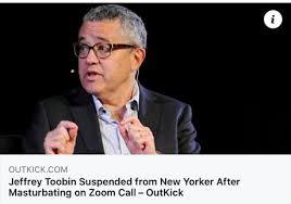 Prominent 'new yorker' journalist jeffrey toobin has been suspended from his role and has become a meme after he was caught masturbating. Cnn And The New Yorker Magazine Paid Contributor As Well As A Harvard Grad Busted On Zoom Call Punching His Clown 9gag