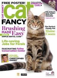 Cat fancy is probably also ultimately responsible for helping me find work that i'm passionate about: 10 Inside Cat Fancy Magazine Ideas Cat Magazine Inside Cat Fancy Cats