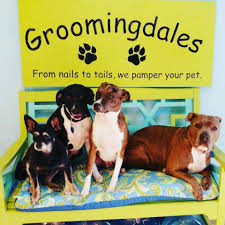 Groomingdales offers salon quality service at the comfort of your home or office. Groomingdales Home