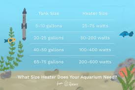Which Size Heater Do You Need For Your Aquarium Fish Tank Sizes Aquarium Heater Aquarium