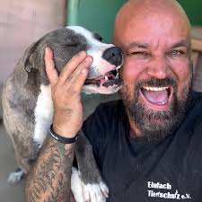 Eyck, 9 Jahre, Golden Retriever