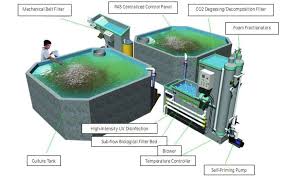 Sirkulasi Air Kolam Lele Sangkutifarm Com Tips Budidaya Lele