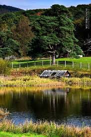 Margam Park Port Talbot Cymru Wales Wales England Welsh Countryside England And Scotland
