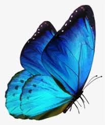 Editing Butterfly Png Download Butterfly Png For Editing Transparent Png Transparent Png Image Pngitem Search free butterfly glow ringtones and wallpapers on zedge and personalize your phone to suit you. editing butterfly png download