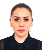 Sistema Nacional para el Desarrollo Integral de la Familia