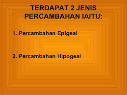 Besar, biasanya berwarna kuning terang. Percambahan Biji Benih