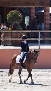 Maybe you would like to learn more about one of these? La Competition Au Club Equina