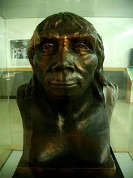 Синантроп стал древнее на 270 тысяч лет • Александр Марков • Новости науки  на «Элементах» • Антропология