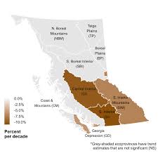 Snowpack Environmental Reporting Bc