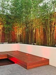 Astuces Deco Pour Un Espace Exterieur Sans Vis A Vis Amenagement Jardin Cloture Amenagement Jardin Et Bambous Jardin