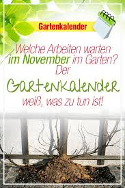 Gartenkalender November Gartenkalender Garten Gartenarbeit