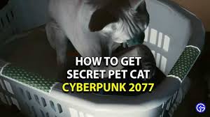 The cat face i saw also looks like a small human face. Cyberpunk 2077 Where To Find Pet Cat How To Get Cat Food