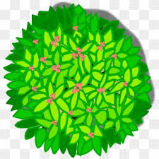 tree top view png transparent for free download pngfind tree top view png transparent for free