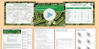 Animal and plant cells ks3 lesson. Animal And Plant Cells Ks3 Cells And Organisation Beyond