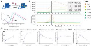 Development of a Robust High-Throughput Screening Platform for Inhibitors  of the Striatal-Enriched Tyrosine Phosphatase (STEP)