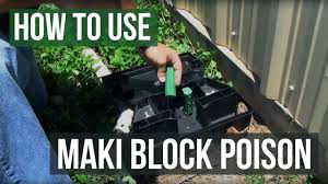 Contrac blox rodenticide/ all weather blox. How To Get Rid Of Rats And Mice With Maki Block Poison Youtube
