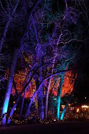 Light The Night Christmas Denver Colorado Holiday Lights Display Colorado Holiday Lights