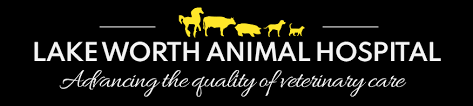 1515 e lake st suite 202 hanover park, il 60133. Lake Worth Animal Hospital The Finest In Veterinary Care