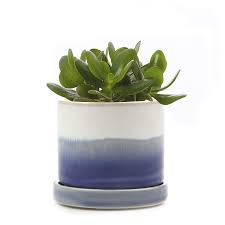 Free delivery over £40 to most of the uk ✓ great taking up little room, this planter features three wire holders that each hold one of the round planters. Modern And Contemporary Pottery Vases And Terrariums Chive Uk