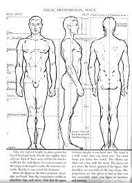 Joshua On Twitter Hey Demonpuppy Do You Think You Could Do A Quick Sketch Of Something Like These Figure Drawing Body Proportion Drawing Anatomy Reference