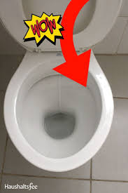 Diese 10 Putztricks Hast Du Noch Nie Gesehen Haushaltsfee Toiletten Reinigen Reinigen