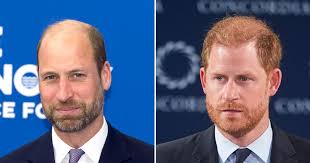 Prince Harry's Friend Jaco van Gass Honored by Prince William