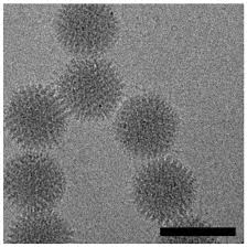 Image result for Silver Grey 1997 AAV