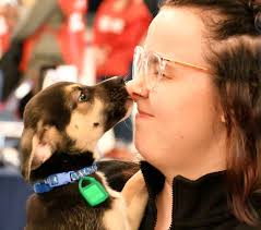 Perry: Every Dog Has His Day