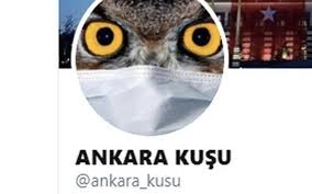 Oktay Yasar Kimdir Twitter Daki Ankara Kusu Oktay Yasar Mi Internet Haber