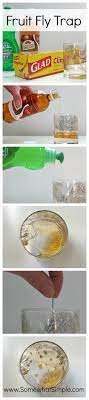 How To Get Rid Of Fruit Flies And Gnats Fruit Fly Trap Fruit Flies Diy Fruit Bowl