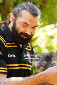 40 King Is Koala Stock Photos, High-Res Pictures, and Images