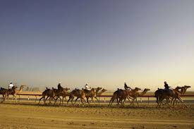 You can manage notifications at any time by clicking the notifications icon. The Saudi Camel Festival Will Knock The Socks Off Most Other Festivals Times Of India Travel