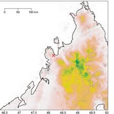 Image result for Scleria bambariensis
