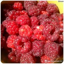 какие фрукты можно есть после родов при кормлении грудью Dieta Kormyashej Mamy Dieta Pri Grudnom Vskarmlivanii Shokolad Kofe I Svezhie Frukty Kormyashej Mame Mozhno Kushat Absolyutno Vse Moj Interesnyj Opyt Gv S Dietoj I Bez Otzyvy Pokupatelej