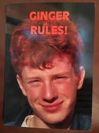 Ross Maynard (RossMaynard1989@)