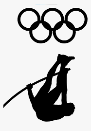 Com o nosso simulador de seguro de animais domésticos poderá calcular rapidamente o valor do seguro. F C Pacos De Ferreira Hd Png Download Kindpng