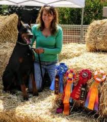 We did not find results for: 7 Best Doberman Breeders In California 2021 We Love Doodles