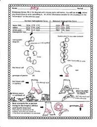 Pin On Biology