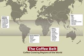 Latin america, africa, and asia, with an. The Coffee Belt Coffee Growing Regions Of The World