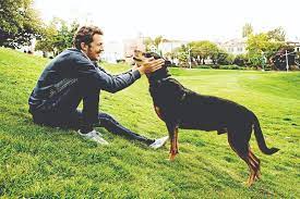 7 Reasons To Become A Pet Sitter | Rover Blog