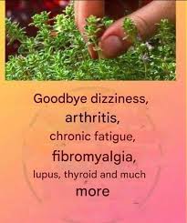 Natural remedies for arthritis and fatigue