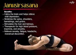 Pin By Vidhi Gosain On Yoga Hath Yoga Wellness Yoga Yoga Motivation