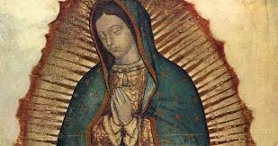 Tlaxcalans on wn network delivers the latest videos and editable pages for news & events, including entertainment, music, sports, science and more, sign up and share your playlists. Our Lady Of Guadalupe And The Tlaxcalans Ascension Press Media