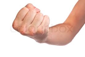 Image result for fist