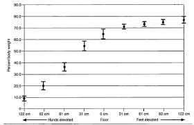 Push Up Weight Distribution Percentages All Things Gym